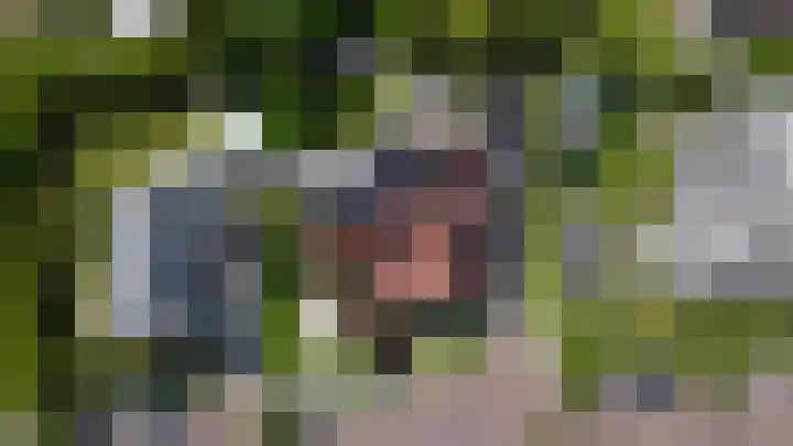 Vijfheerenlanden 13 Emmeloord thumbnail 58