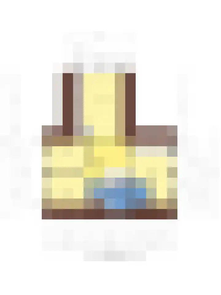 Vijfheerenlanden 13 Emmeloord thumbnail 60