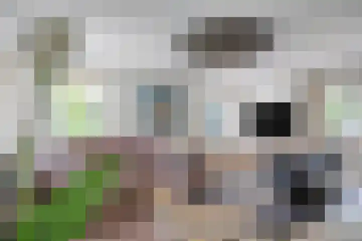 Vijfheerenlanden 13 Emmeloord thumbnail 9