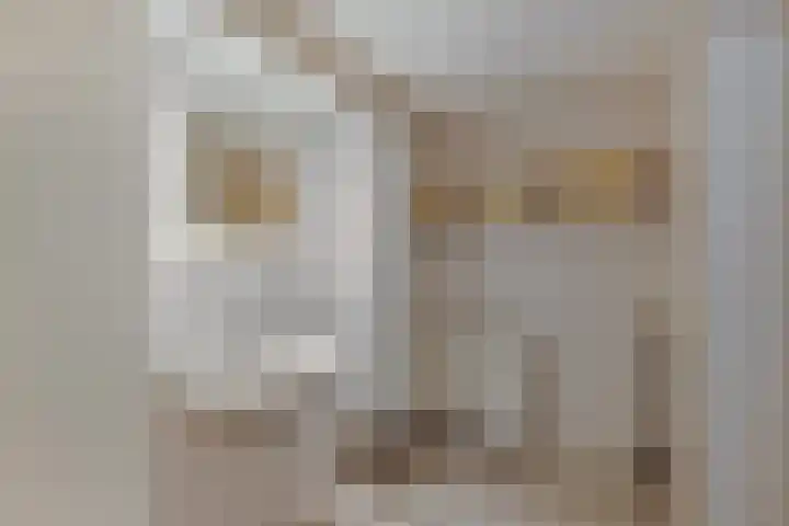 Vijfheerenlanden 5 Emmeloord thumbnail 16