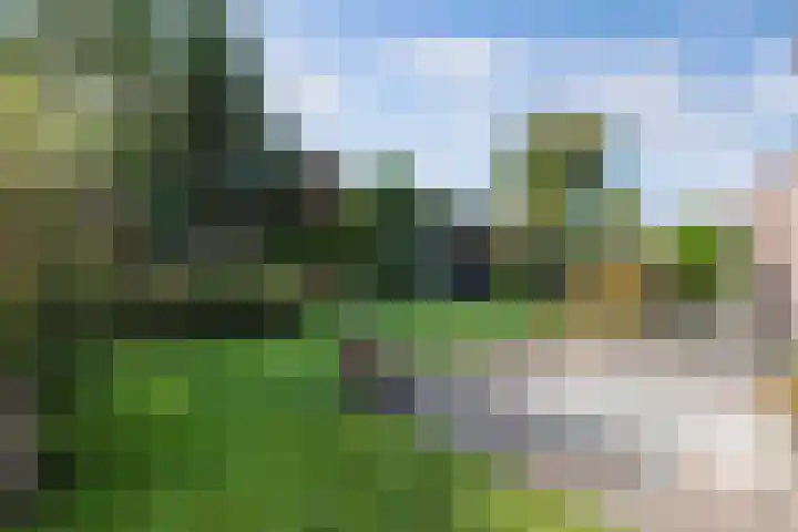 Vijfheerenlanden 5 Emmeloord foto 2