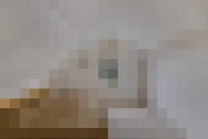 Vijfheerenlanden 5 Emmeloord thumbnail 23