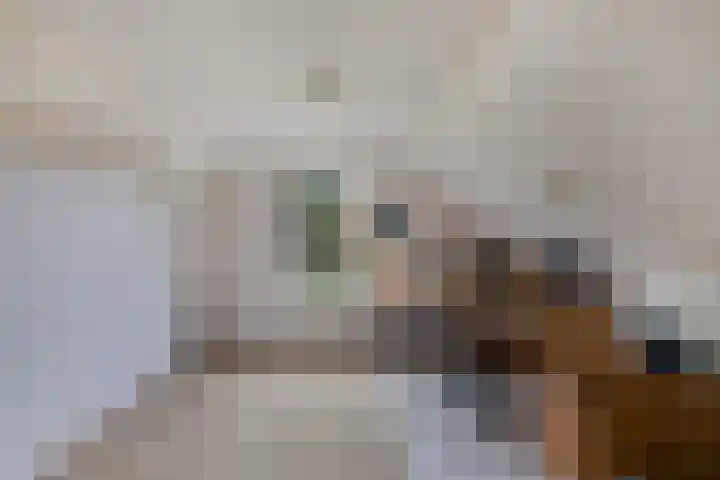 Vijfheerenlanden 5 Emmeloord thumbnail 25
