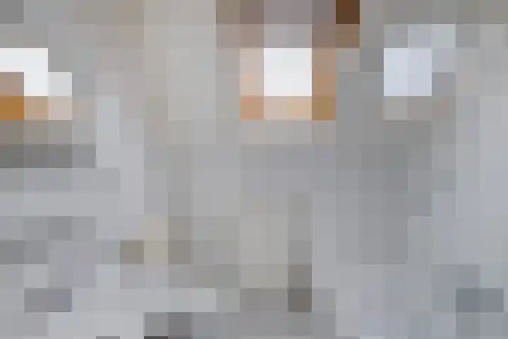 Vijfheerenlanden 5 Emmeloord thumbnail 27