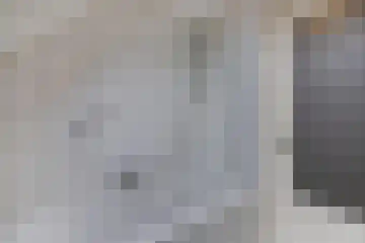 Vijfheerenlanden 5 Emmeloord thumbnail 28