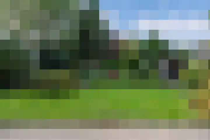 Vijfheerenlanden 5 Emmeloord thumbnail 30