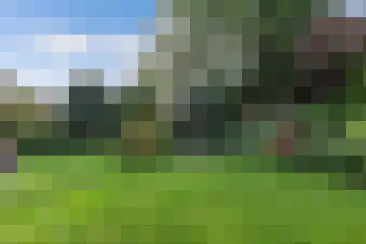 Vijfheerenlanden 5 Emmeloord thumbnail 31