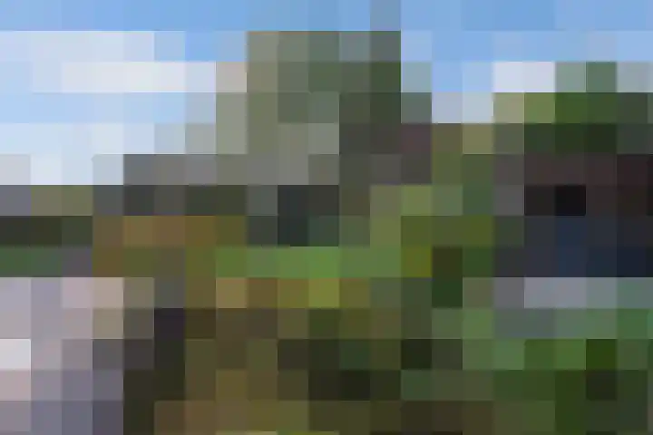Vijfheerenlanden 5 Emmeloord thumbnail 32