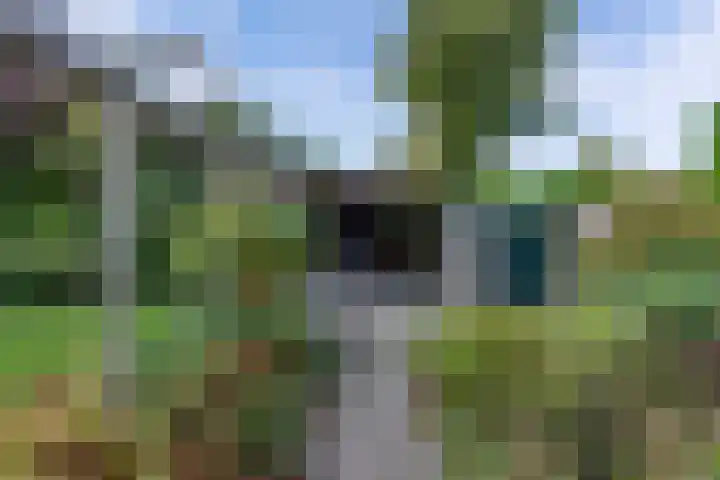 Vijfheerenlanden 5 Emmeloord thumbnail 33