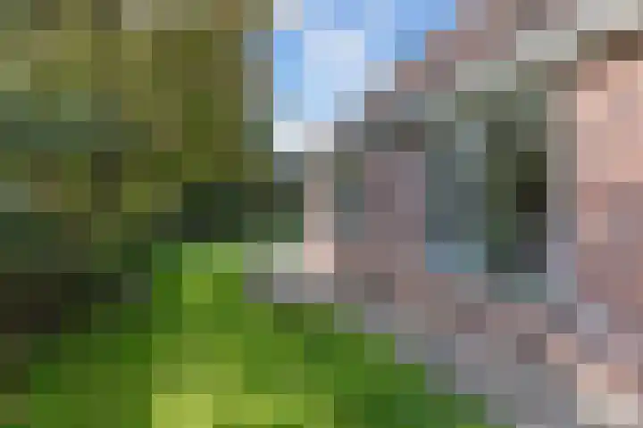 Vijfheerenlanden 5 Emmeloord thumbnail 35