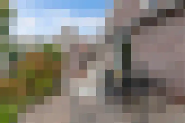 Vijfheerenlanden 5 Emmeloord thumbnail 37