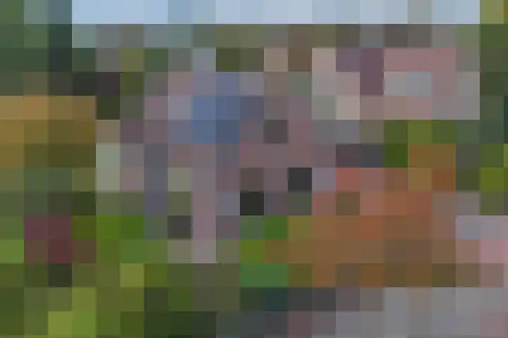 Vijfheerenlanden 5 Emmeloord thumbnail 39