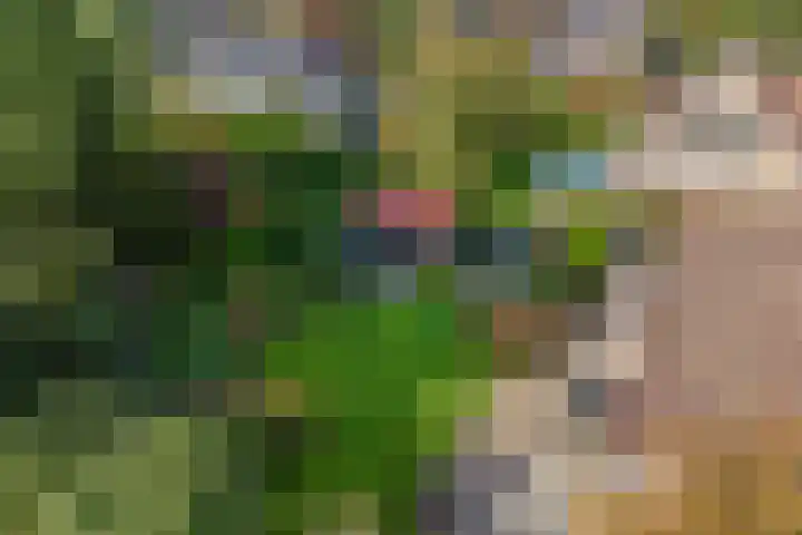 Vijfheerenlanden 5 Emmeloord thumbnail 41