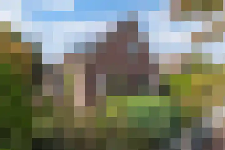Vijfheerenlanden 5 Emmeloord thumbnail 45