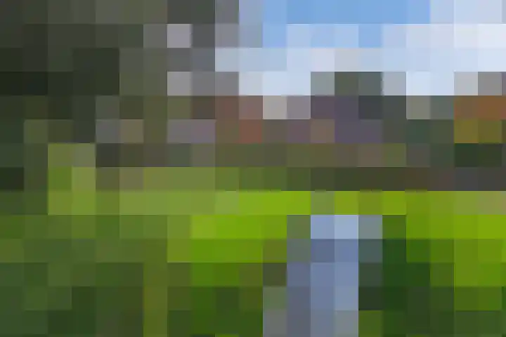 Vijfheerenlanden 5 Emmeloord thumbnail 46