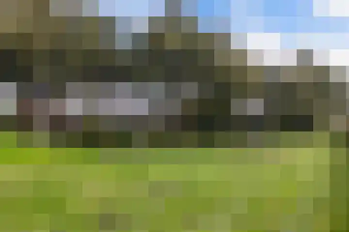 Vijfheerenlanden 5 Emmeloord thumbnail 47