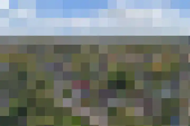 Vijfheerenlanden 5 Emmeloord thumbnail 48