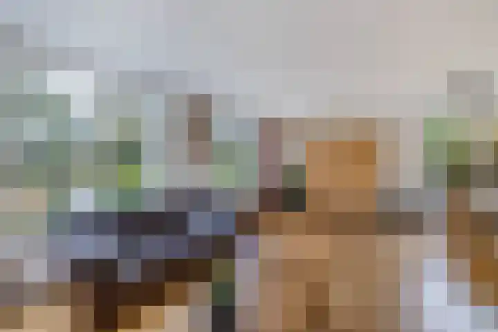 Vijfheerenlanden 5 Emmeloord thumbnail 7