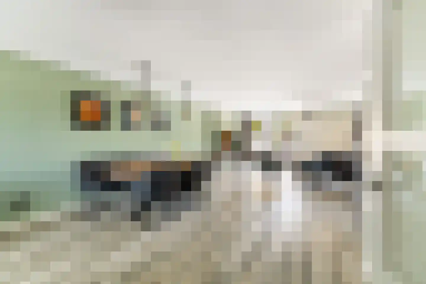 Vijfherenlanden 138 Lelystad thumbnail 13