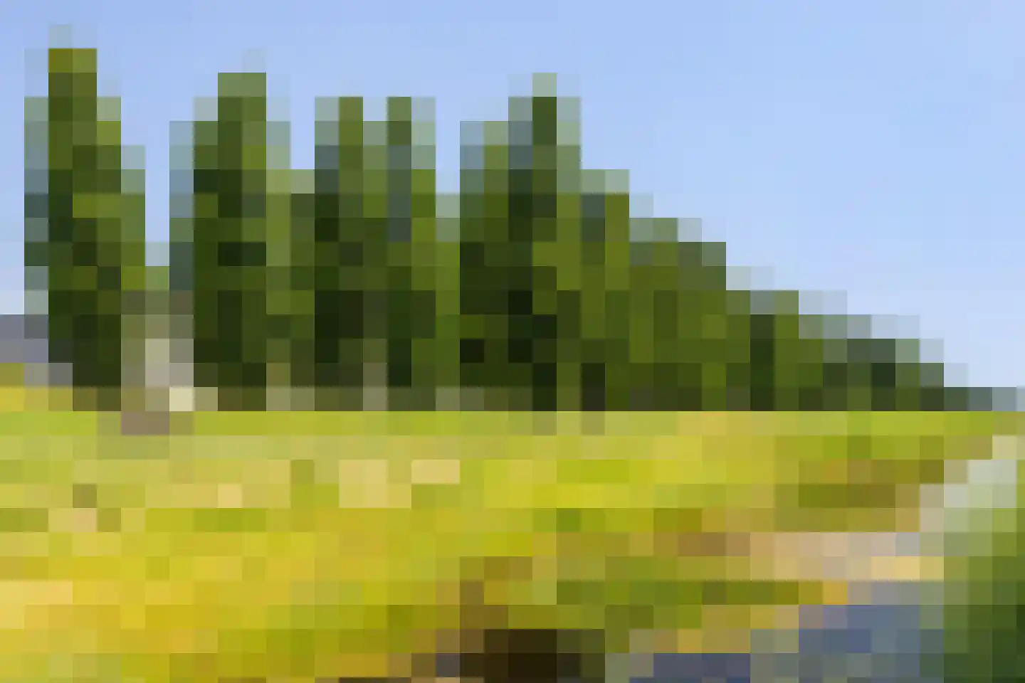 Vijfherenlanden 138 Lelystad thumbnail 55