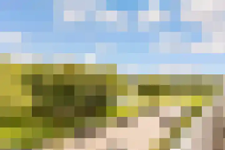 Vijfherenlanden 34 Lelystad thumbnail 27