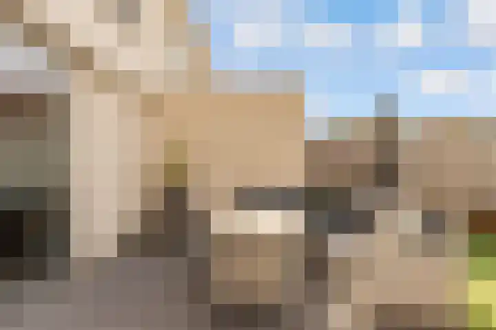 Vijfherenlanden 34 Lelystad thumbnail 30