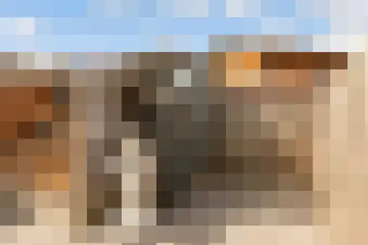 Vijfherenlanden 34 Lelystad thumbnail 31