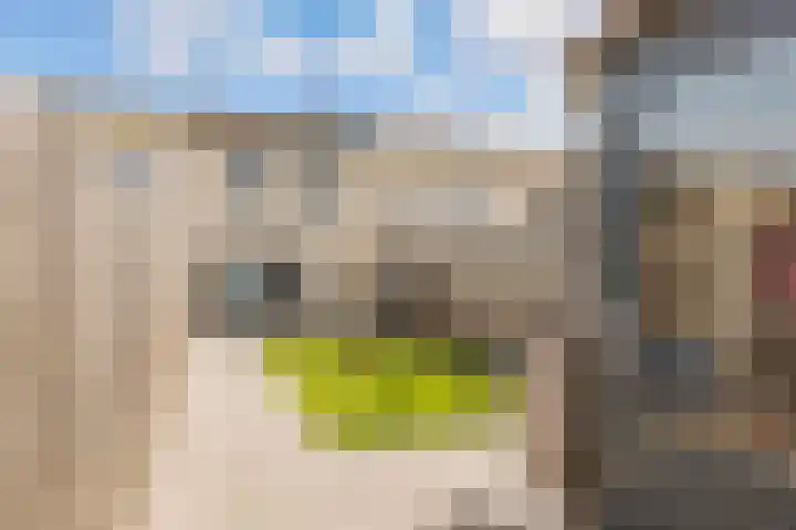 Vijfherenlanden 34 Lelystad thumbnail 32