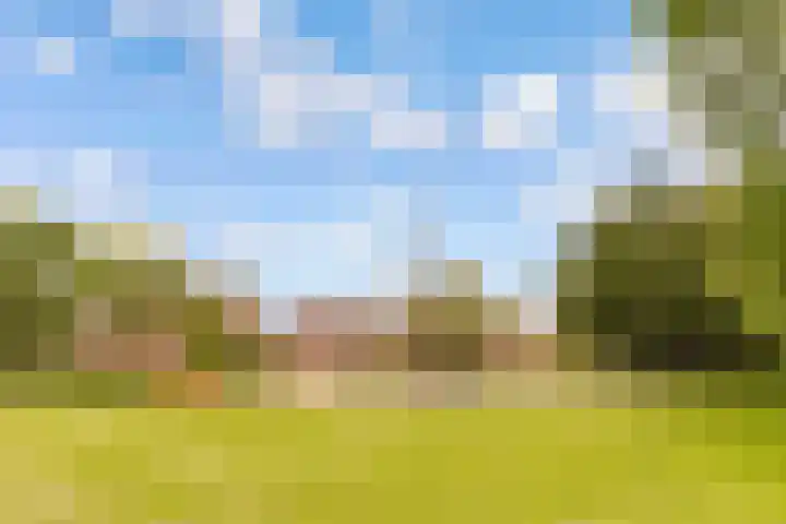 Vijfherenlanden 34 Lelystad thumbnail 38