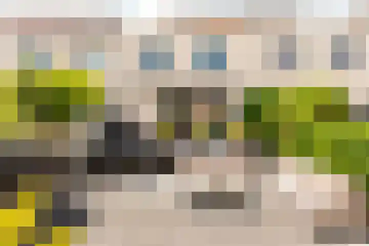Vijfherenlanden 72 Lelystad thumbnail 20
