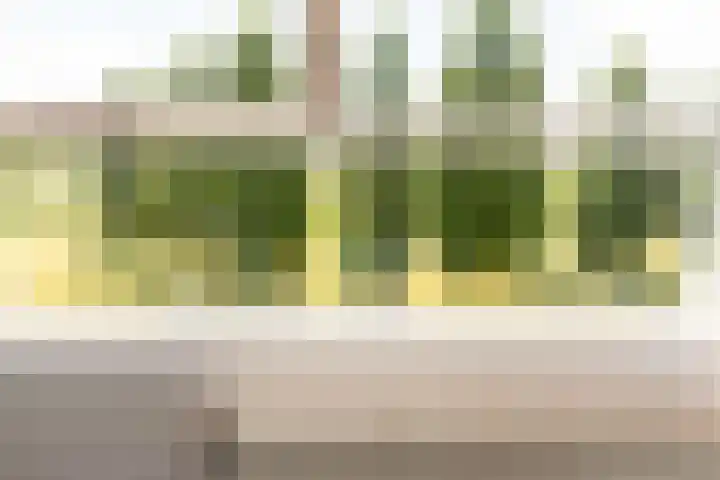 Vijfherenlanden 72 Lelystad thumbnail 34