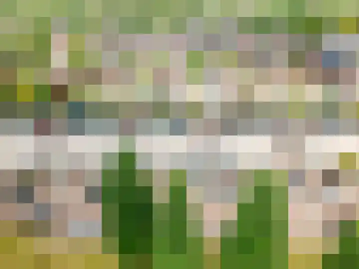Vijfherenlanden 72 Lelystad thumbnail 42