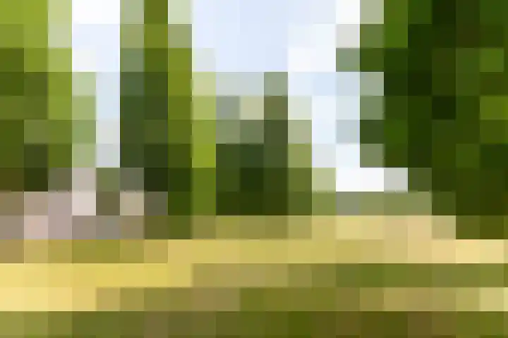 Vijfherenlanden 72 Lelystad thumbnail 44