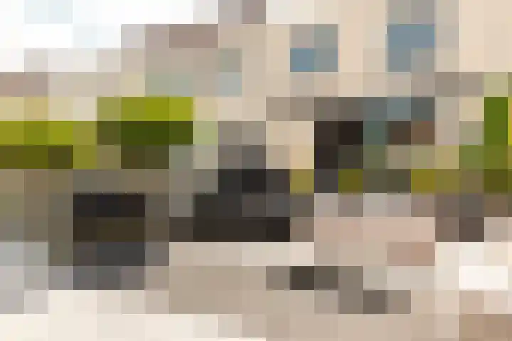 Vijfherenlanden 72 Lelystad thumbnail 5