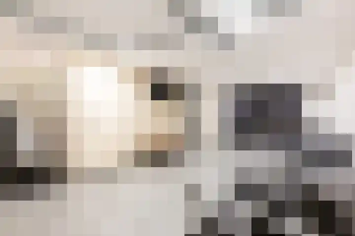 Vijfherenlanden 72 Lelystad thumbnail 6