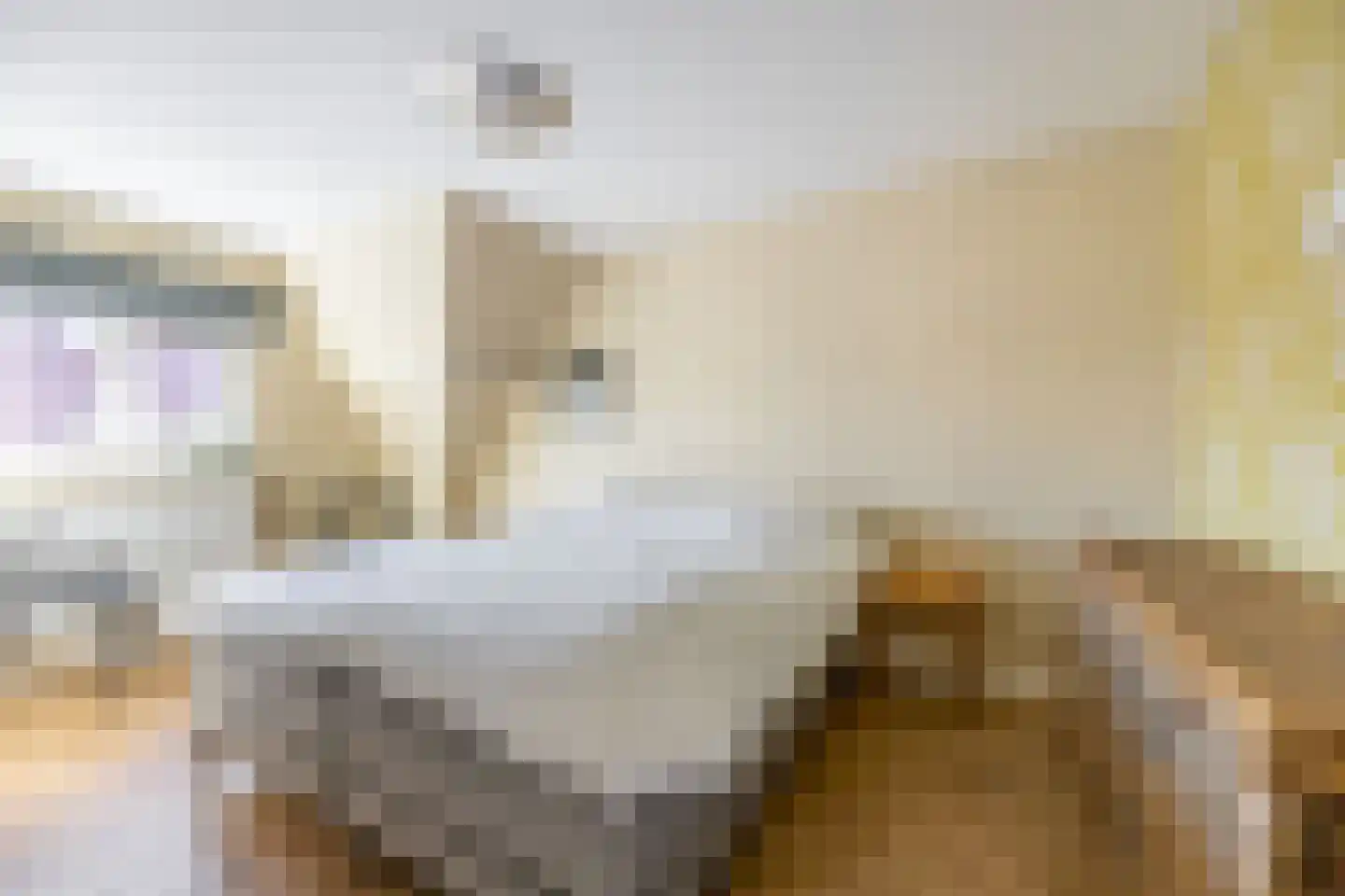 Vijfherenstraat 18 Heemstede thumbnail 18