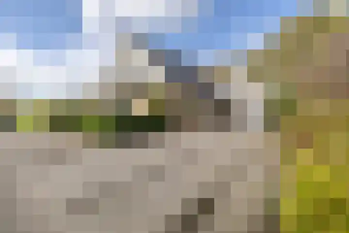 Vijfhoek 6 Fluitenberg