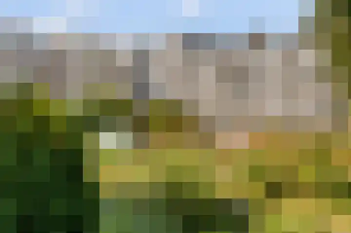 Vijfhoek 6 Fluitenberg thumbnail 22