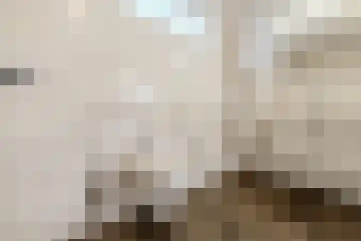 Vijfhoek 6 Fluitenberg thumbnail 28