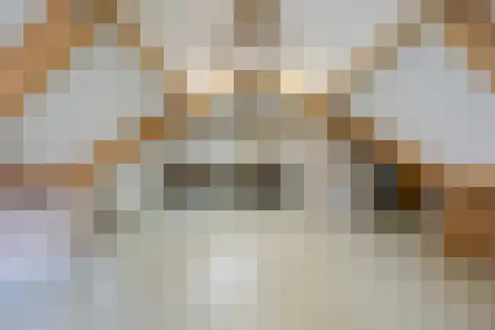 Vijfhoek 6 Fluitenberg thumbnail 51