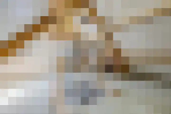 Vijfhoek 6 Fluitenberg thumbnail 57