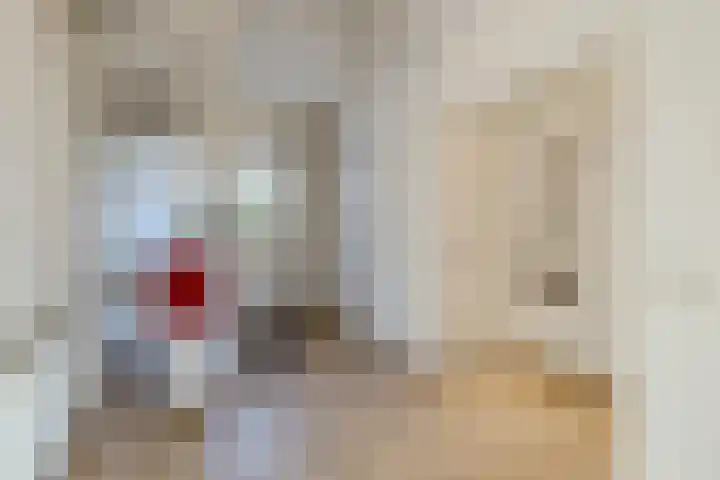 Vijfhoek 6 Fluitenberg thumbnail 6