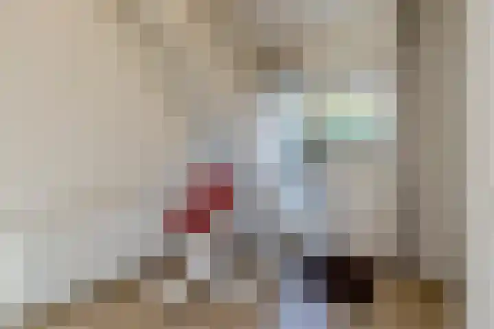 Vijfhoek 6 Fluitenberg thumbnail 7