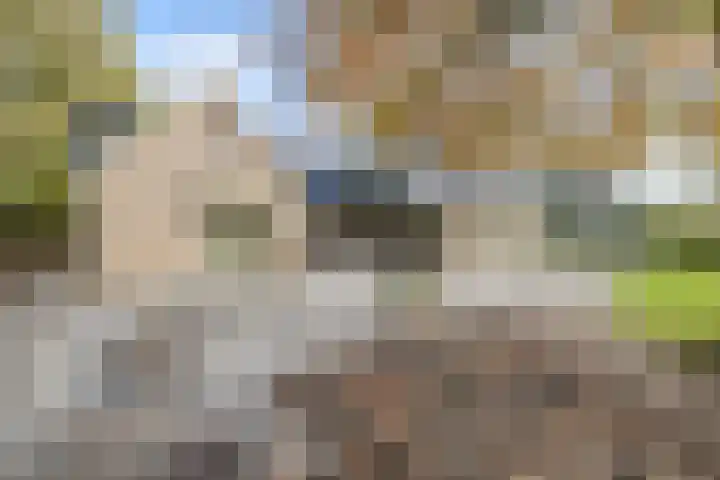 Vijfhoek 6 Fluitenberg thumbnail 71