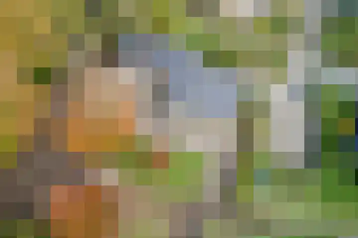 Vijfhoek 6 Fluitenberg thumbnail 77