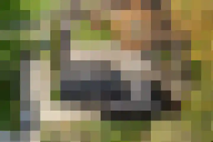 Vijfhoek 6 Fluitenberg thumbnail 79