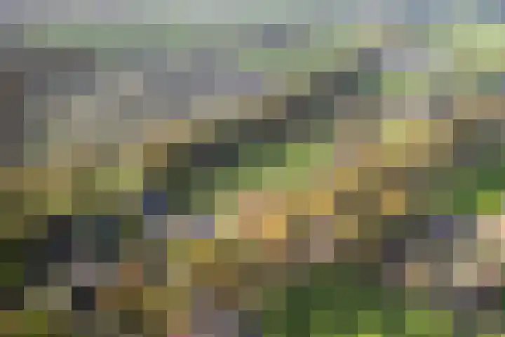 Vijfhoek 6 Fluitenberg thumbnail 80