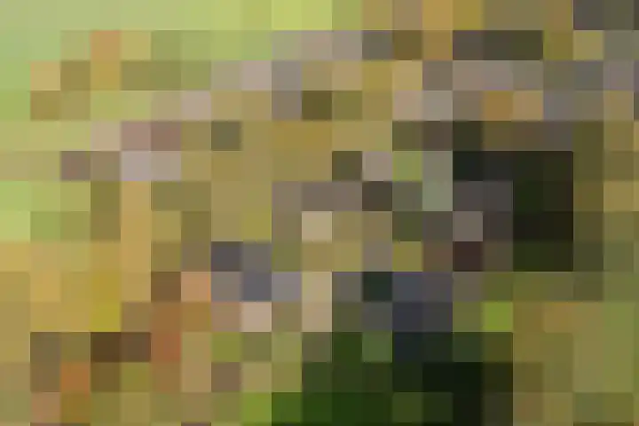 Vijfhoek 6 Fluitenberg thumbnail 81