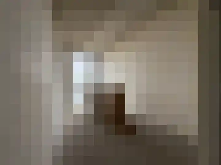 Vijfhoevenlaan 21 d 04 Raamsdonksveer thumbnail 19