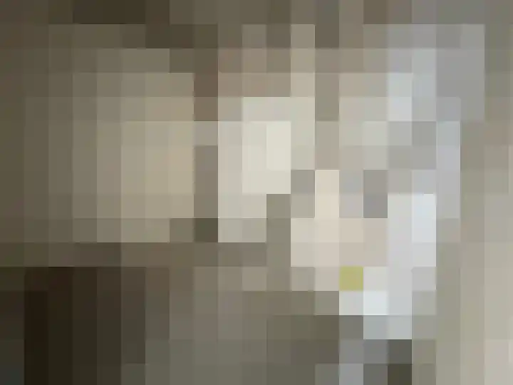 Vijfhoevenlaan 21 d 04 Raamsdonksveer thumbnail 20
